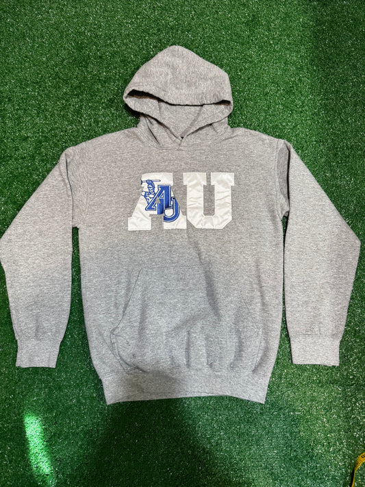 Early 2000s Vintage Aurora University Men’s Hoodie Size S